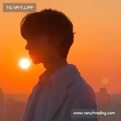 韦芝